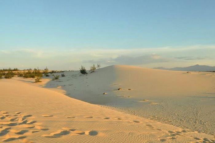  Đồi cát quang phú Quảng Bình một trong 5 đồi cát đẹp ở Miền Trung