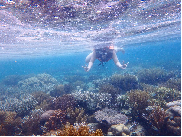 Khám phá rặng san hô ở Đảo Cô Tô