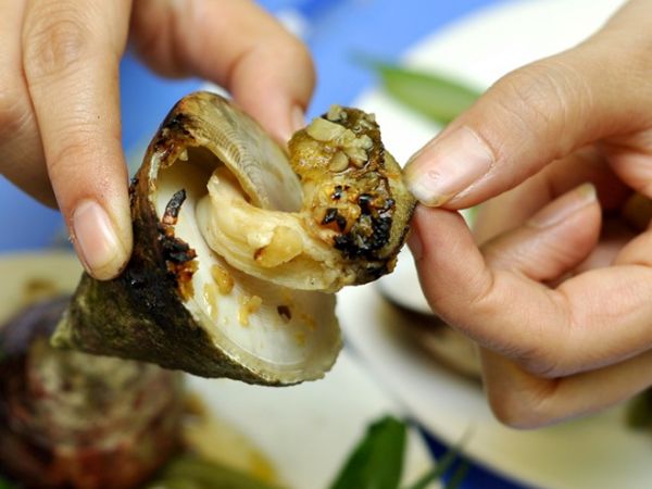 Ốc vú nàng món ăn ngon hấp dẫn miền biển Côn Đảo