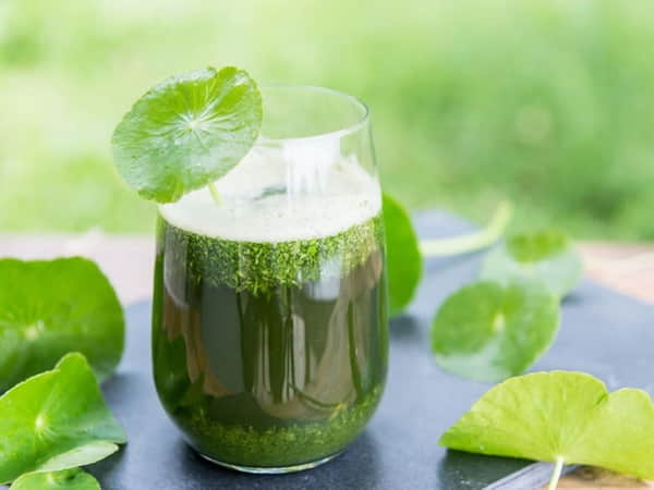 Các nguyên liệu chính