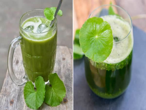 Vì sao nên chọn sinh tố rau má vào mùa hè