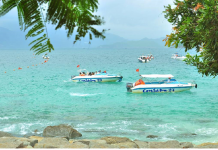 Khám phá vẻ đẹp của Đảo hòn mun Nha Trang