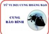 Tử vi cung Bảo Bình năm 2021 chi tiết về mọi mặt ?