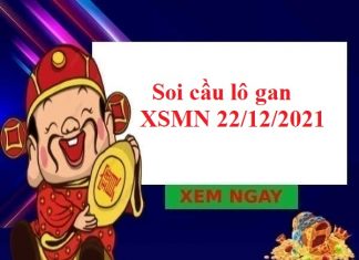 Soi cầu lô gan XSMN 22/12/2021