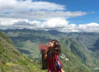 Nên đi du lịch hà giang mùa nào