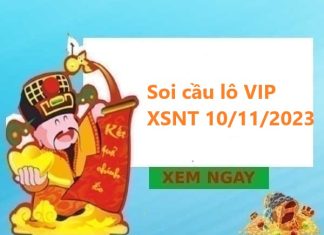 Soi cầu lô VIP XSNT 10/11/2023