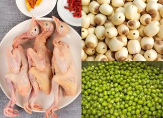 Các cách hầm chim bồ câu cho bé đơn giản tại nhà