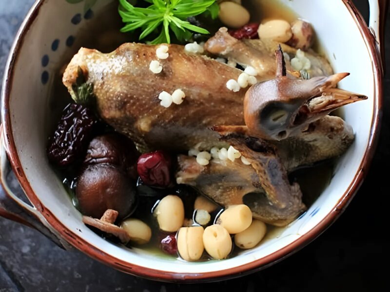 Các cách hầm chim bồ câu cho bé đơn giản tại nhà Các cách hầm chim bồ câu cho bé đơn giản tại nhà