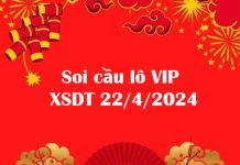 Soi cầu lô VIP XSDT 22/4/2024