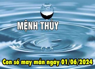 Thông tin con số may mắn người mệnh Thủy ngày 1/6/2024 thứ 7