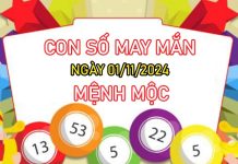 Con số may mắn mệnh Mộc 1/11/2024 hứng lộc đầy tay