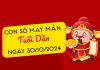 Phân tích con số may mắn tuổi Dần hôm nay ngày 30/10/2024