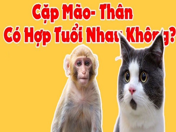 Tổng quan về tuổi Mão và tuổi Thân