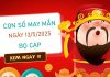 Đổi vận giàu sang với số cát tường cung Bọ Cạp 13/5/2025