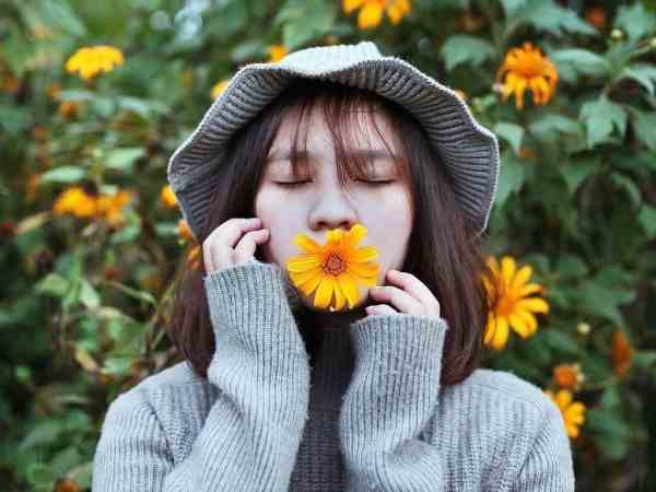  Đường vào làng hoa vạn thành có thể ngắm hoa dã quỳ