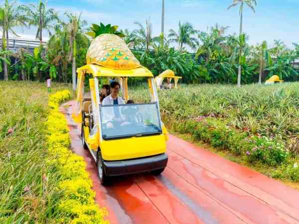 Công viên dứa Nago – khám phá vương quốc dứa