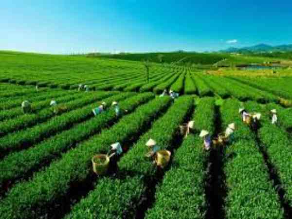 Kinh nghiệm chụp ảnh đẹp ở Thái Nguyên