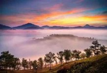 địa điểm săn mây đà lạt