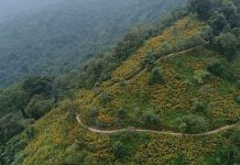 Du lịch 1 ngày gần Hà Nội nên đi đâu?