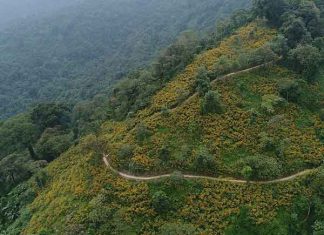Du lịch 1 ngày gần Hà Nội nên đi đâu?