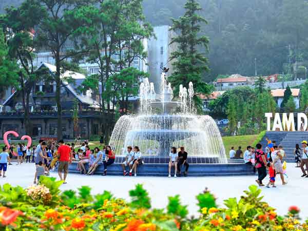 Tìm hiểu lịch trình du lịch Tam Đảo 1 ngày tự túc