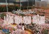 địa điểm chụp hình đẹp ở đà lạt
