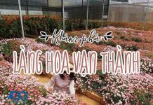địa điểm chụp hình đẹp ở đà lạt