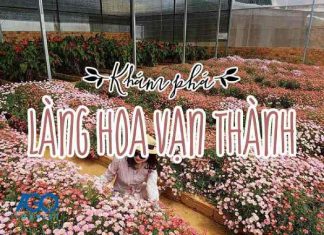 địa điểm chụp hình đẹp ở đà lạt