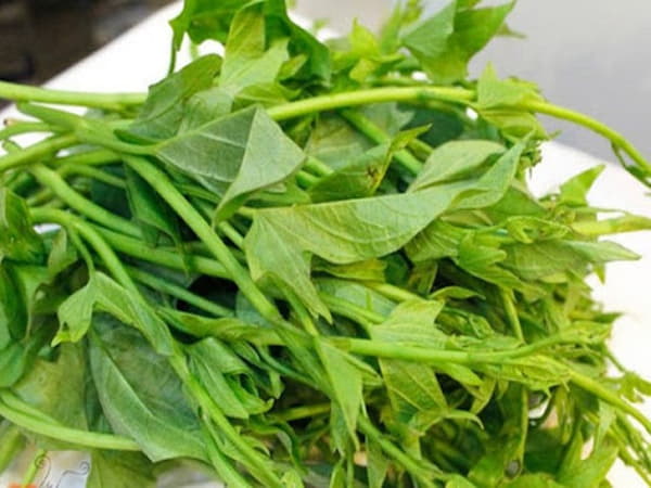 Tìm hiểu về rau lang