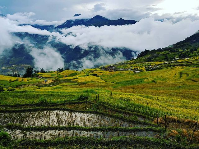 Những điểm săn mây đẹp nhất ở Y Tý