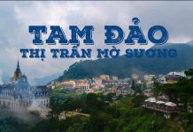 Tam Đảo có khí hậu bốn mùa trong 1 ngày rất đa dạng