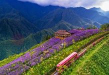 Sapa có gì đẹp?