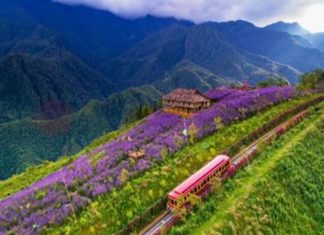 Sapa có gì đẹp?