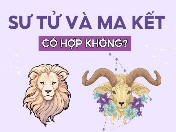 Cung Ma Kết hợp với cung Sư Tử có bền lâu không?