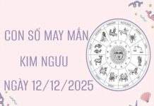 Giải mã con số may mắn cung Kim Ngưu ngày 12/12/2025