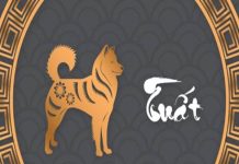 Con số lộc phát tuổi Bính Tuất ngày 28/12/2025 may mắn