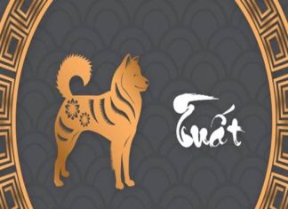 Con số lộc phát tuổi Bính Tuất ngày 28/12/2025 may mắn Con số lộc phát tuổi Bính Tuất ngày 28/12/2025 may mắn