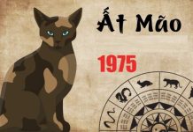 Giải mã con số phú quý tuổi Ất Mão 26/12/2025 theo ngũ hành