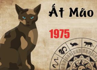 Con số phú quý tuổi Ất Mão 26/12/2025 mở khóa tài lộc Giải mã con số phú quý tuổi Ất Mão 26/12/2025 theo ngũ hành