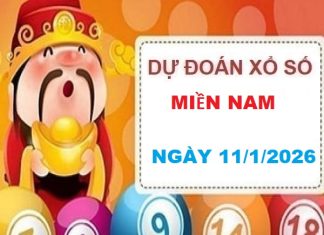 Dự đoán xổ số Miền Nam ngày 11/1/2026 Chủ Nhật hôm nay