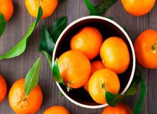 Nằm mơ thấy quả cam điềm báo gì, nên chọn số nào lộc lá? mơ thấy quả cam