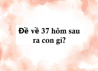 Các phương pháp dự đoán đề về 37 hôm sau đánh con gì