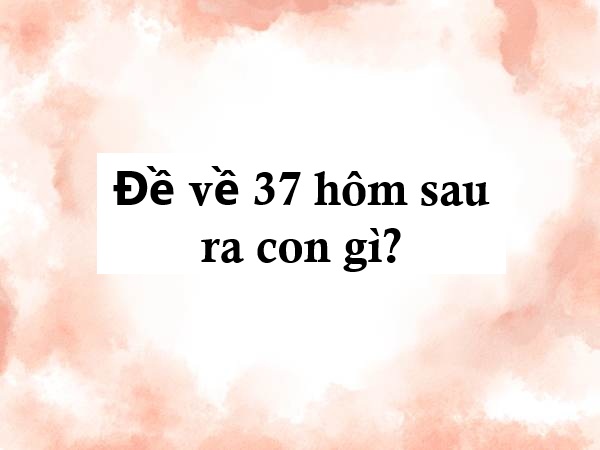 Các phương pháp dự đoán đề về 37 hôm sau đánh con gì