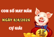 Con số may mắn hôm nay 8/4/2026 thứ 4 cung Cự Giải Con số may mắn hôm nay 8/4/2026 thứ 4 cung Cự Giải