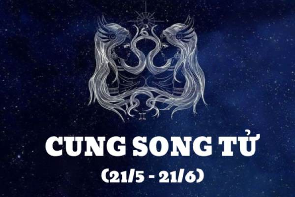Song Tử (21/5 – 21/6)