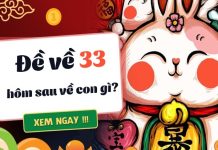 đề về 33 hôm sau đánh con gì