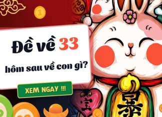 đề về 33 hôm sau đánh con gì