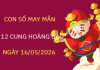 Luận giải con số may mắn 12 cung hoàng đạo ngày 16/05/2026 kích tài lộc