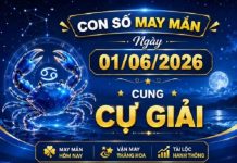 Bật mí con số may mắn ngày 1/6/2026 cung Cự Giải hôm nay