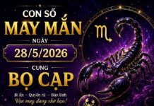 Bật mí con số may mắn ngày 28/5 cung Bọ Cạp kích vận may